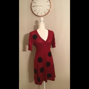 🎃🐞 Ladybug Halloween Costume